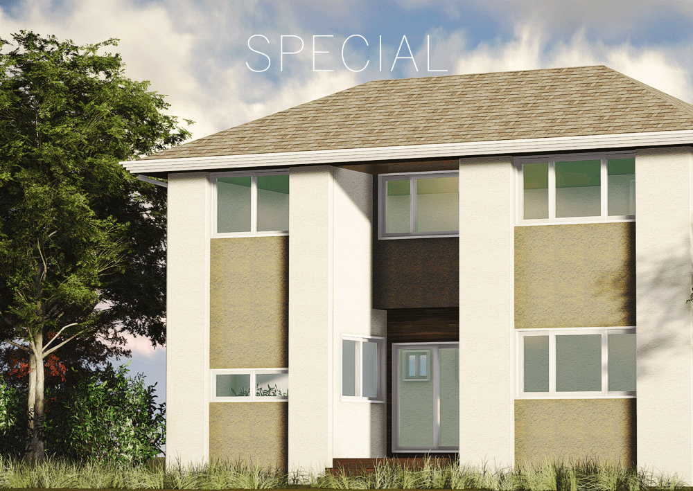 special